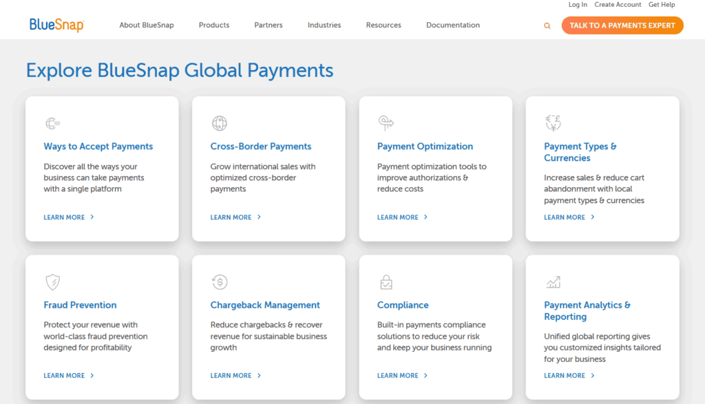 BlueSnap Review